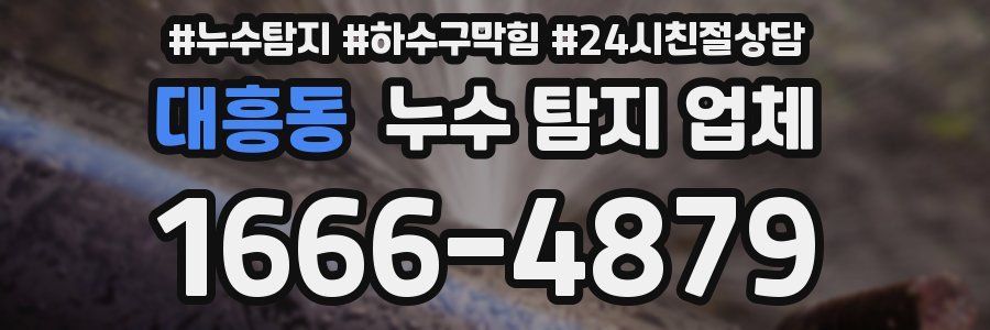 대흥동 누수 탐지 업체