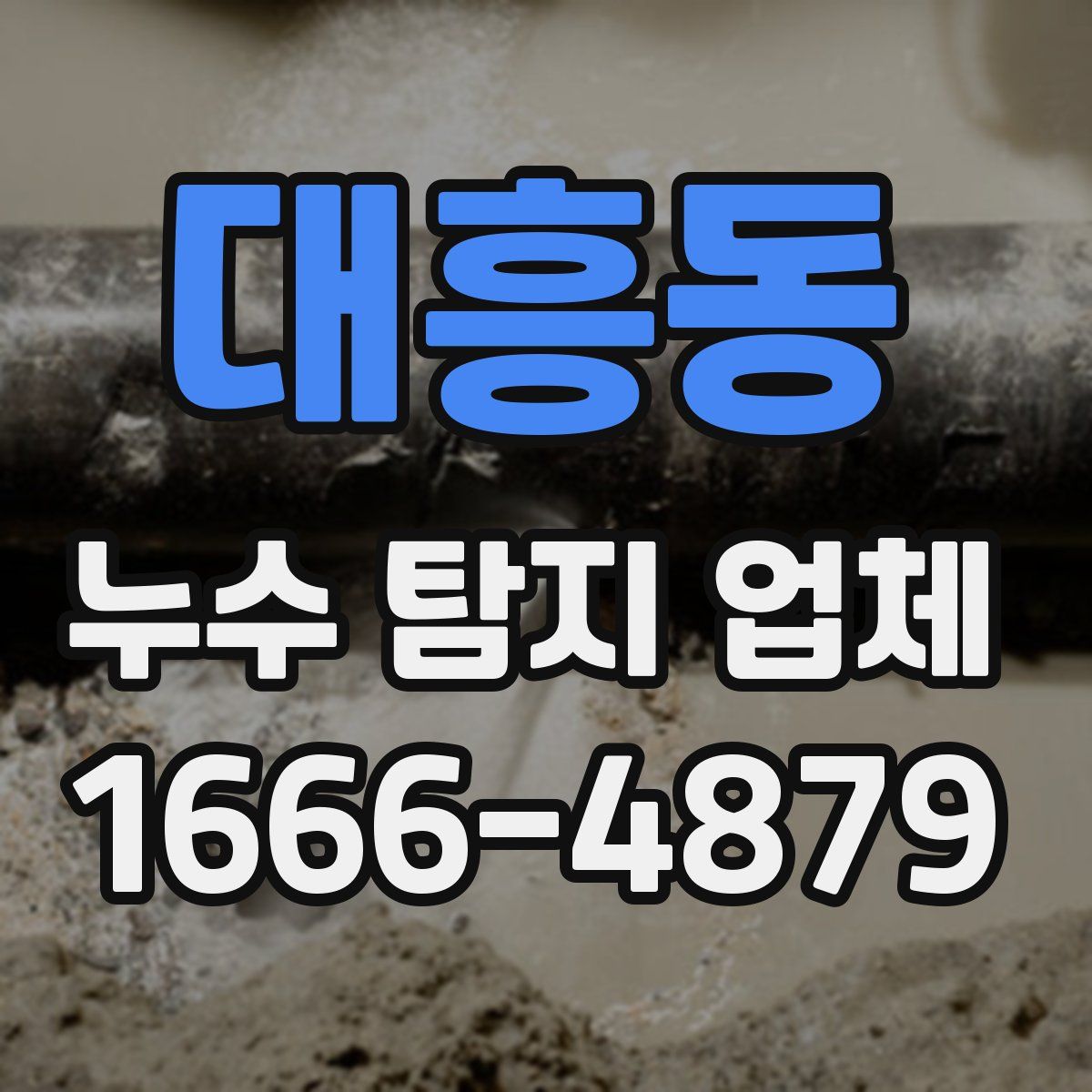 대흥동 누수 탐지 업체
