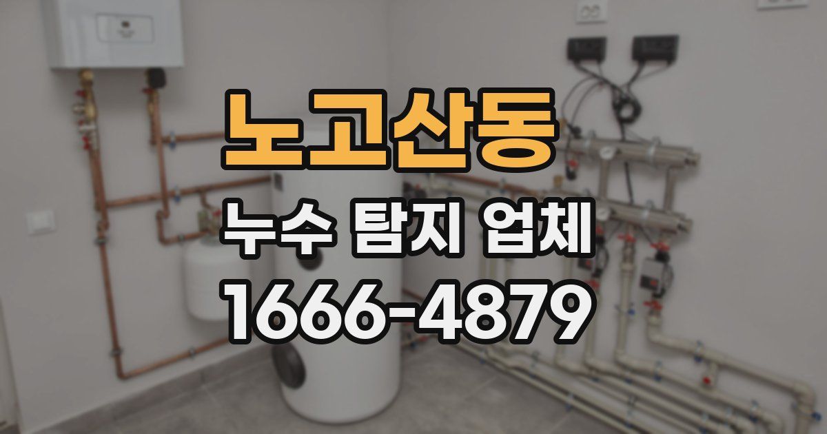 노고산동 누수 탐지 업체