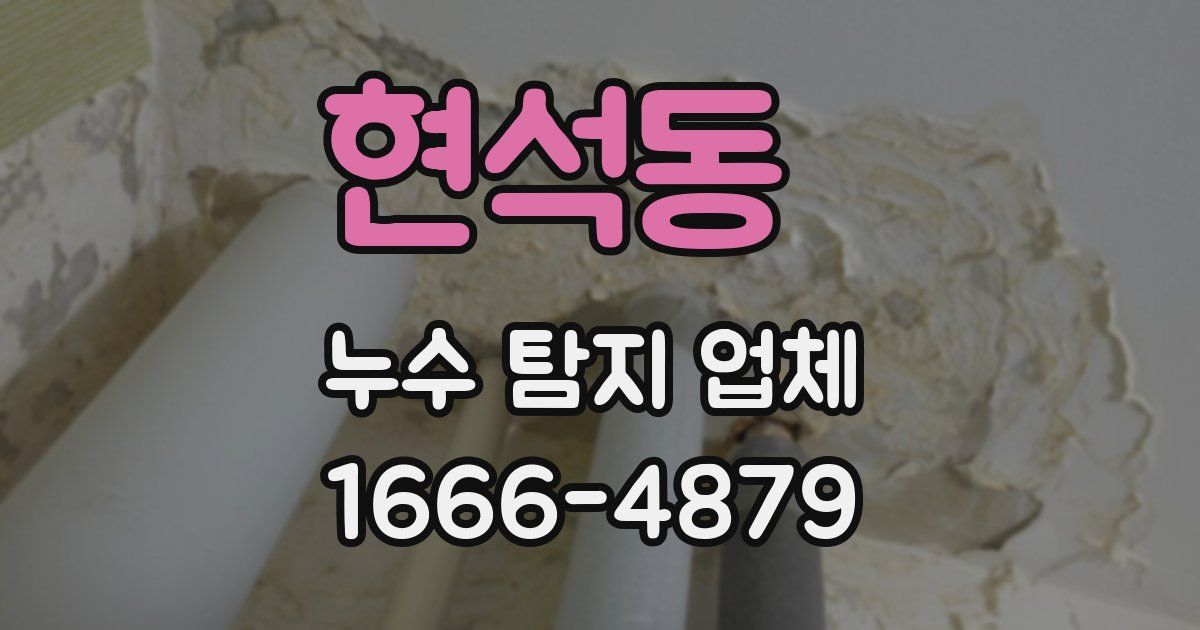 현석동 누수 탐지 업체
