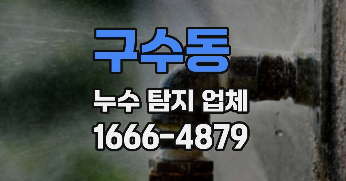구수동 누수 탐지 업체
