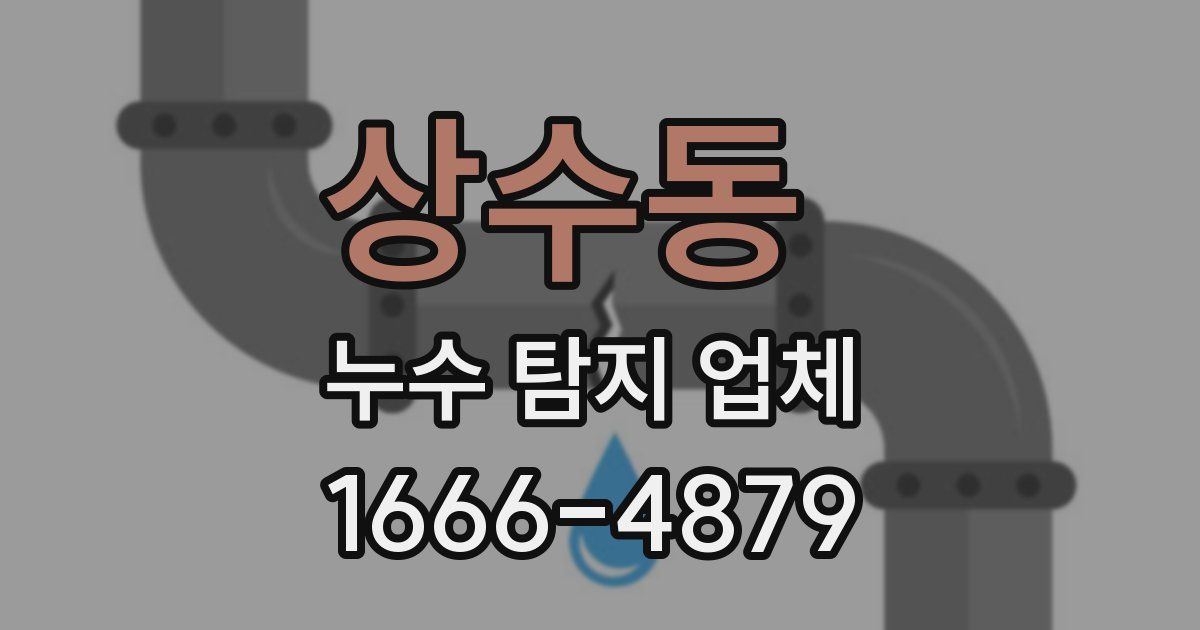 상수동 누수 탐지 업체