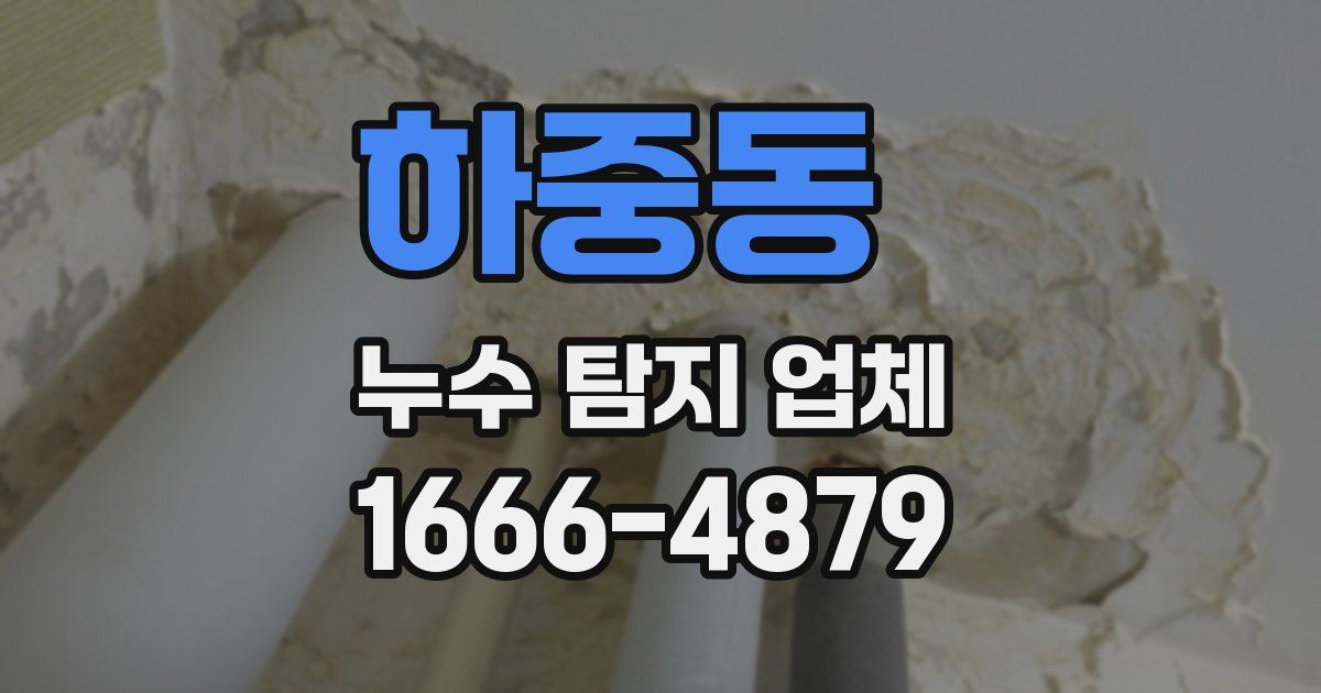 하중동 누수 탐지 업체