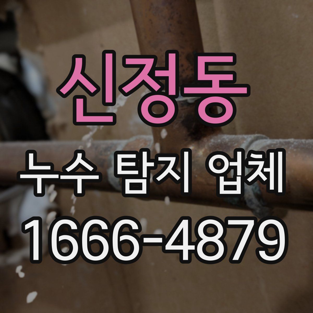 신정동 누수 탐지 업체