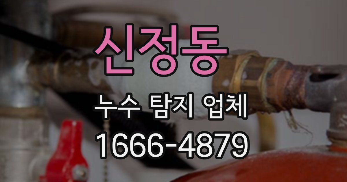 신정동 누수 탐지 업체