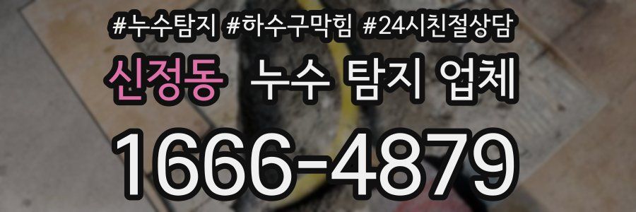신정동 누수 탐지 업체