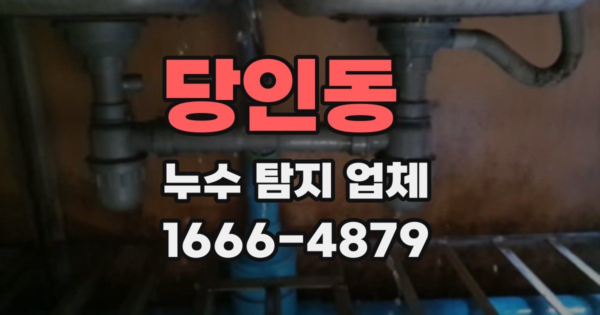 당인동 누수 탐지 업체