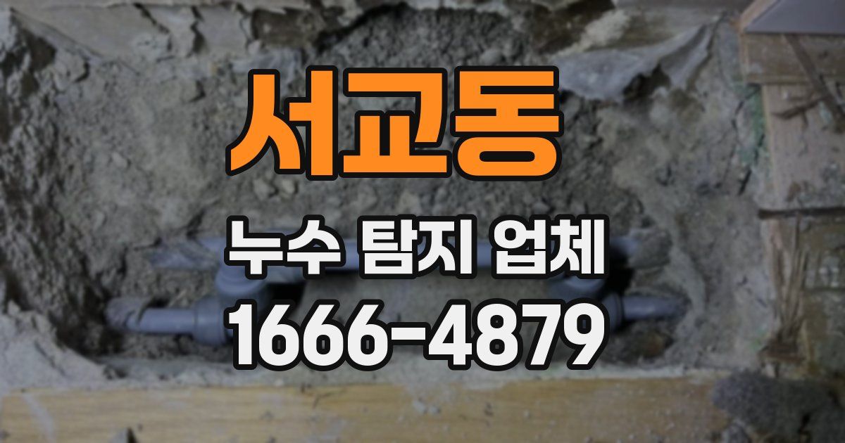서교동 누수 탐지 업체