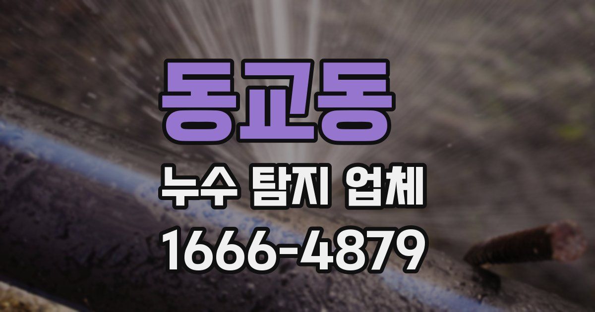 동교동 누수 탐지 업체