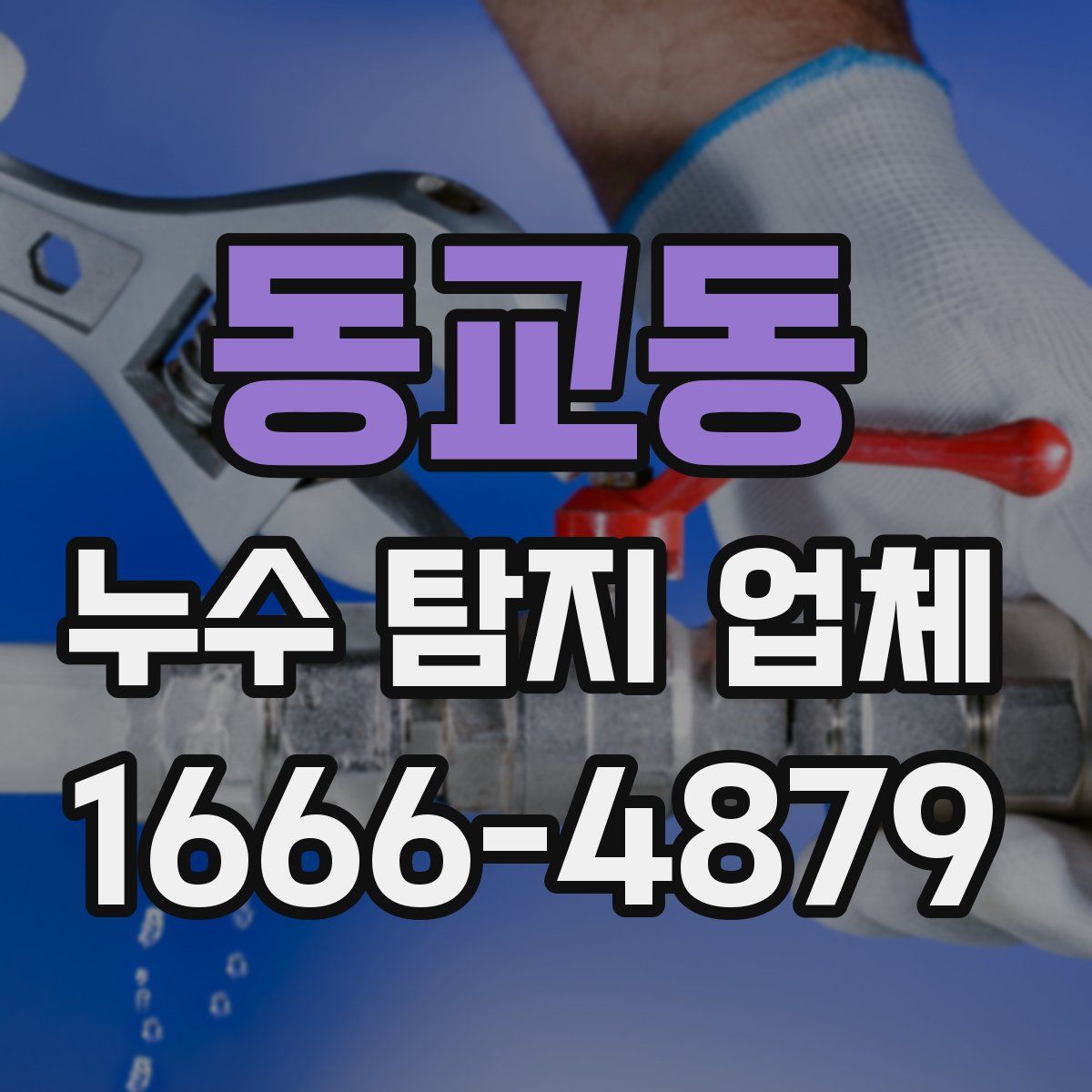 동교동 누수 탐지 업체