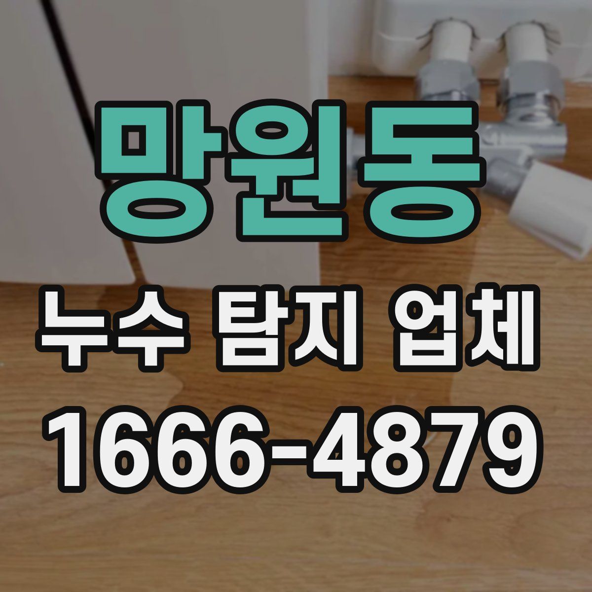 망원동 누수 탐지 업체
