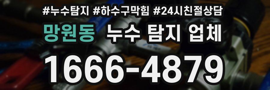 망원동 누수 탐지 업체