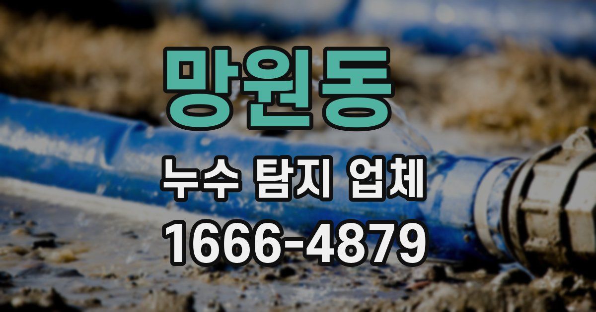 망원동 누수 탐지 업체