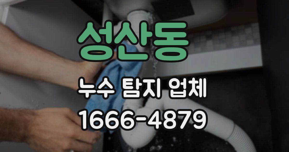 성산동 누수 탐지 업체