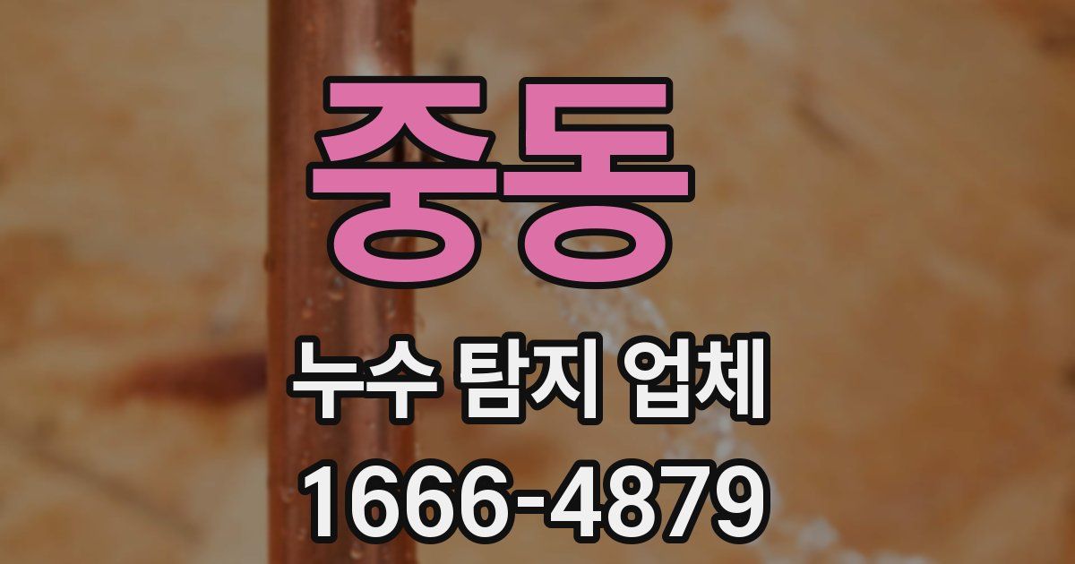 중동 누수 탐지 업체
