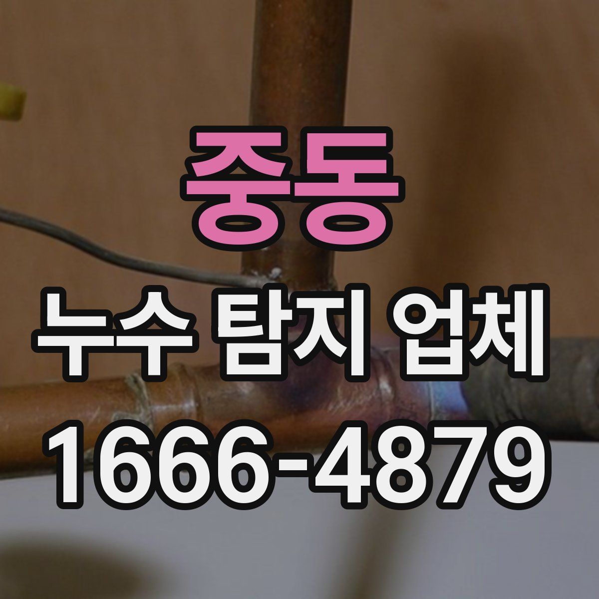 중동 누수 탐지 업체