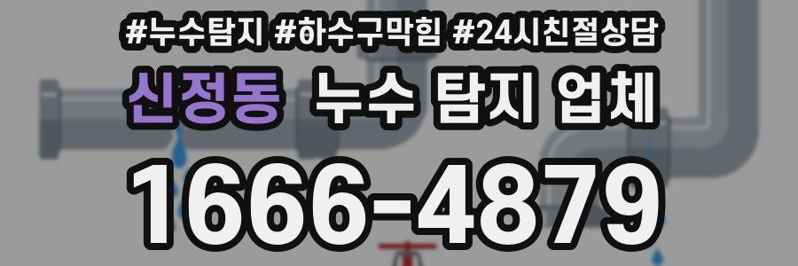 신정동 누수 탐지 업체