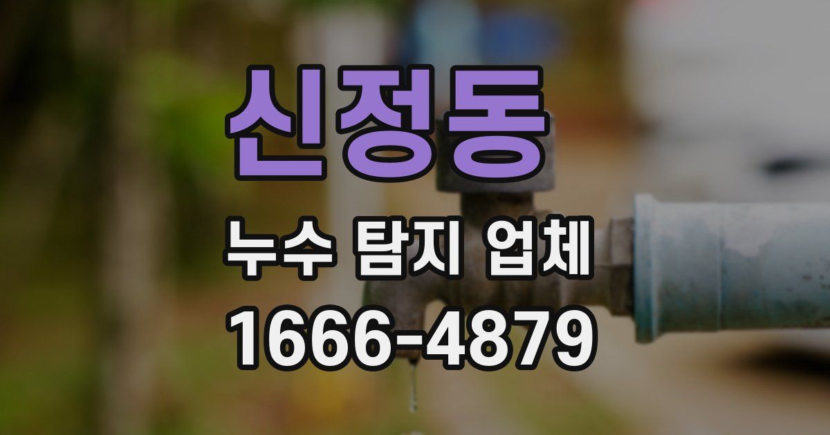신정동 누수 탐지 업체