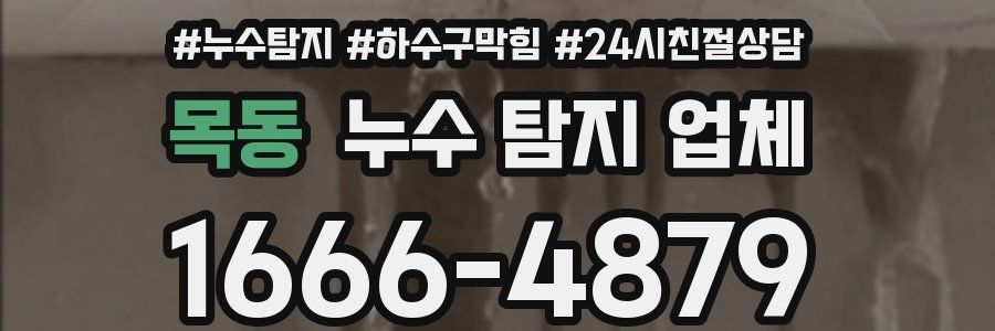 목동 누수 탐지 업체