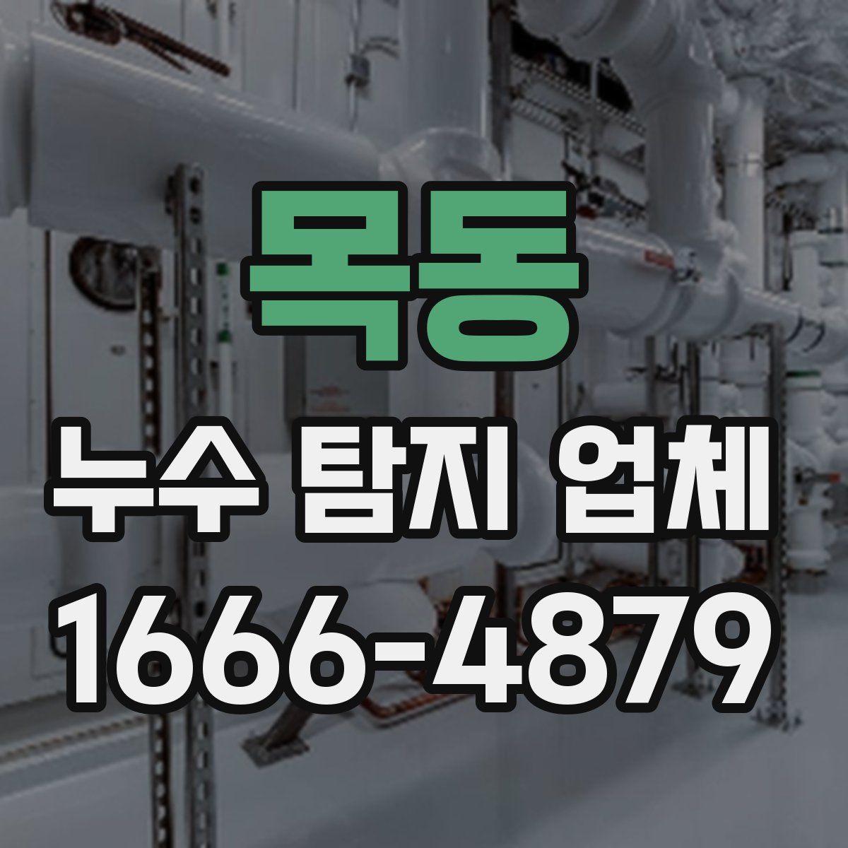 목동 누수 탐지 업체