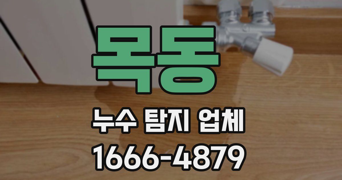 목동 누수 탐지 업체
