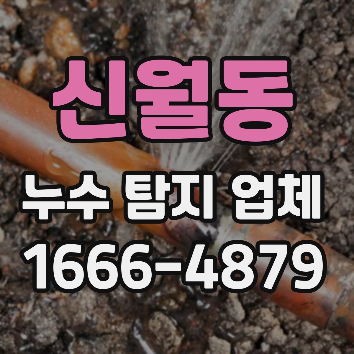 신월동 누수 탐지 업체