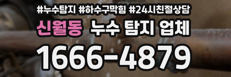 신월동 누수 탐지 업체