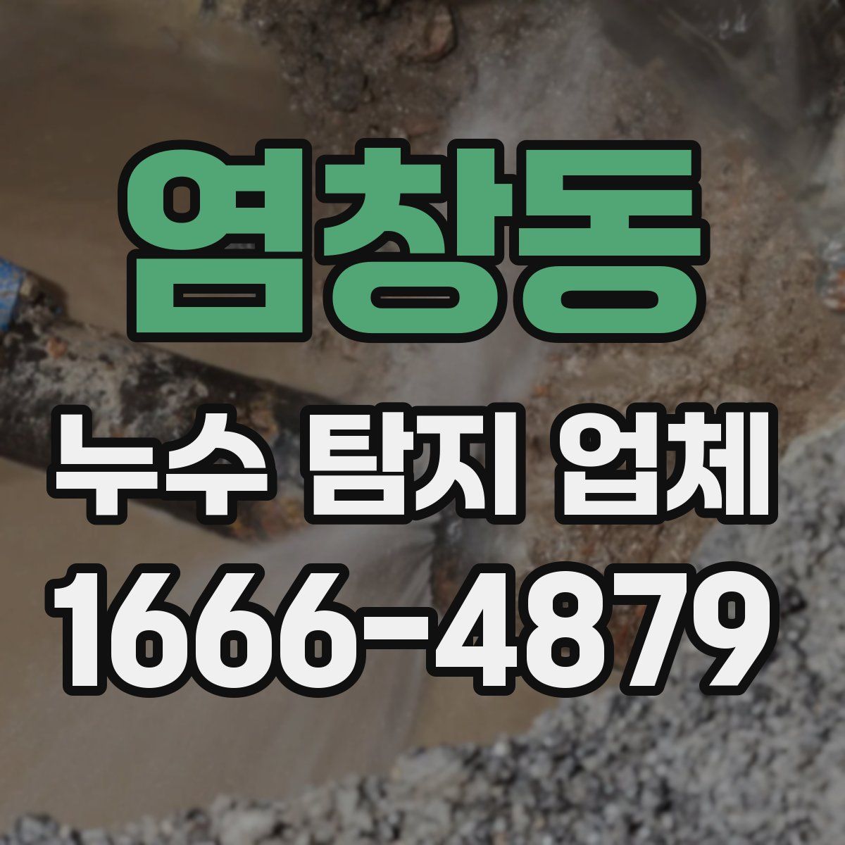 염창동 누수 탐지 업체