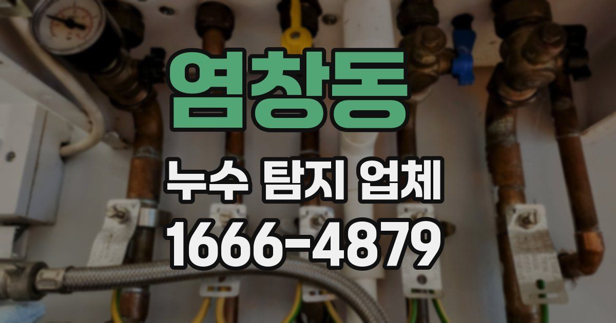 염창동 누수 탐지 업체