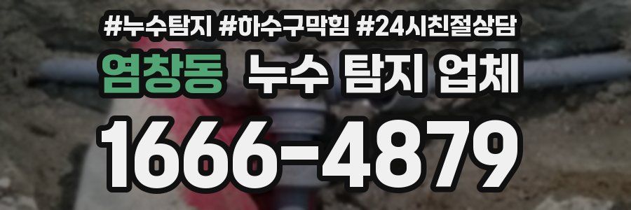 염창동 누수 탐지 업체