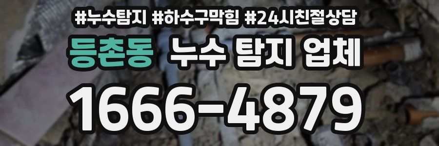 등촌동 누수 탐지 업체