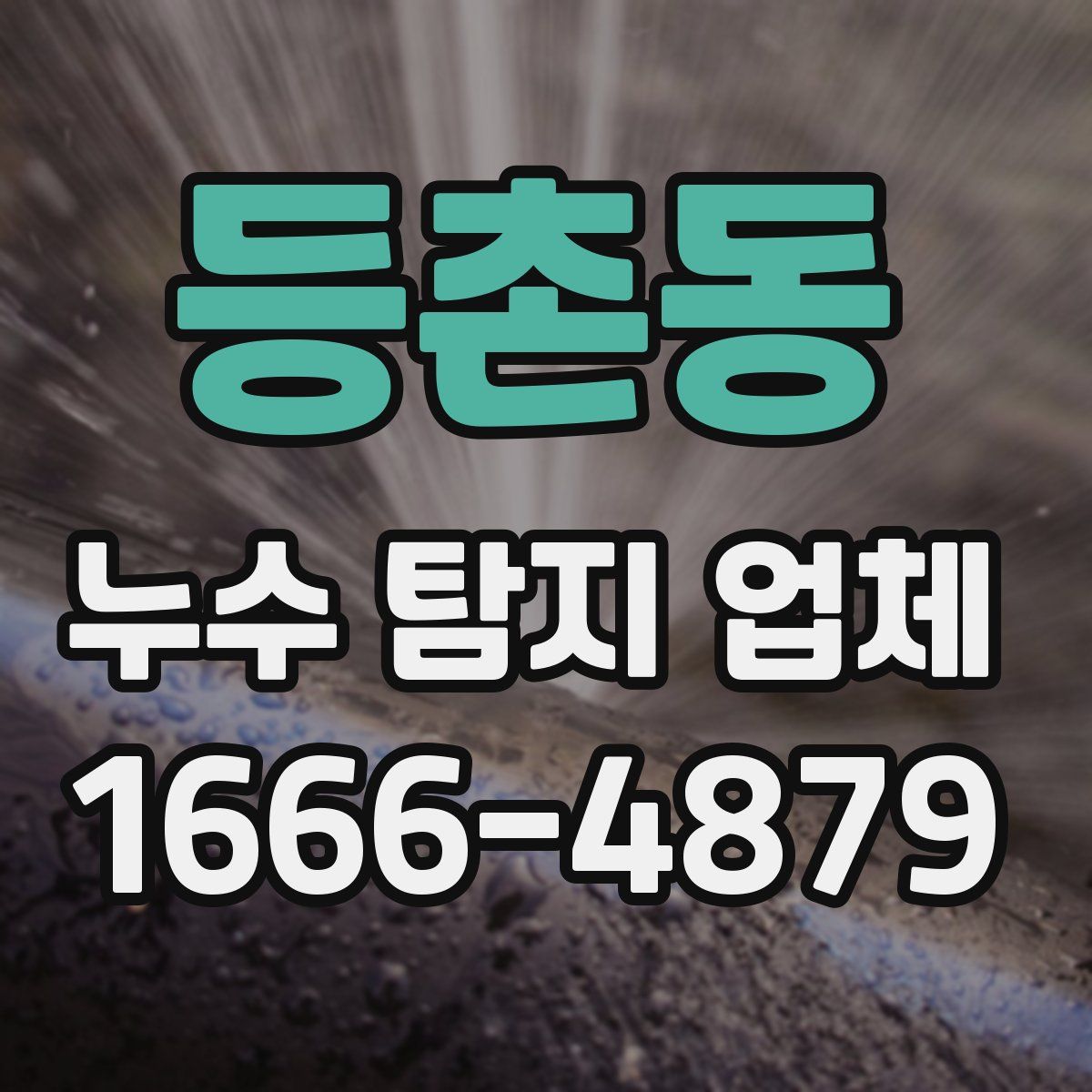 등촌동 누수 탐지 업체