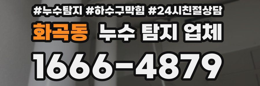 화곡동 누수 탐지 업체