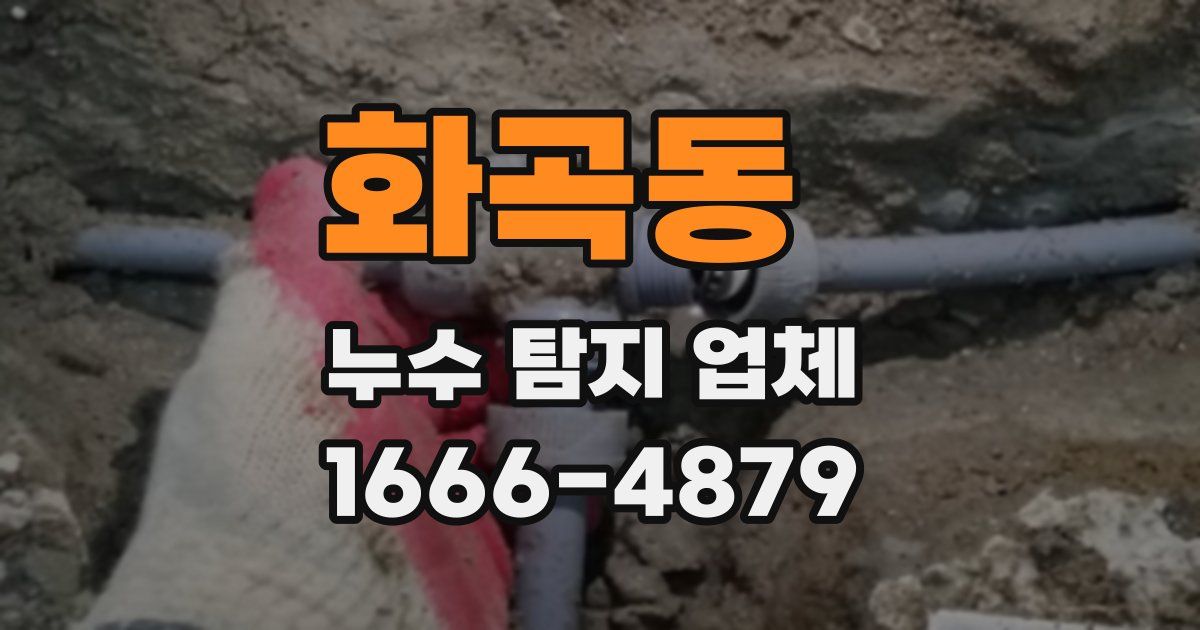화곡동 누수 탐지 업체