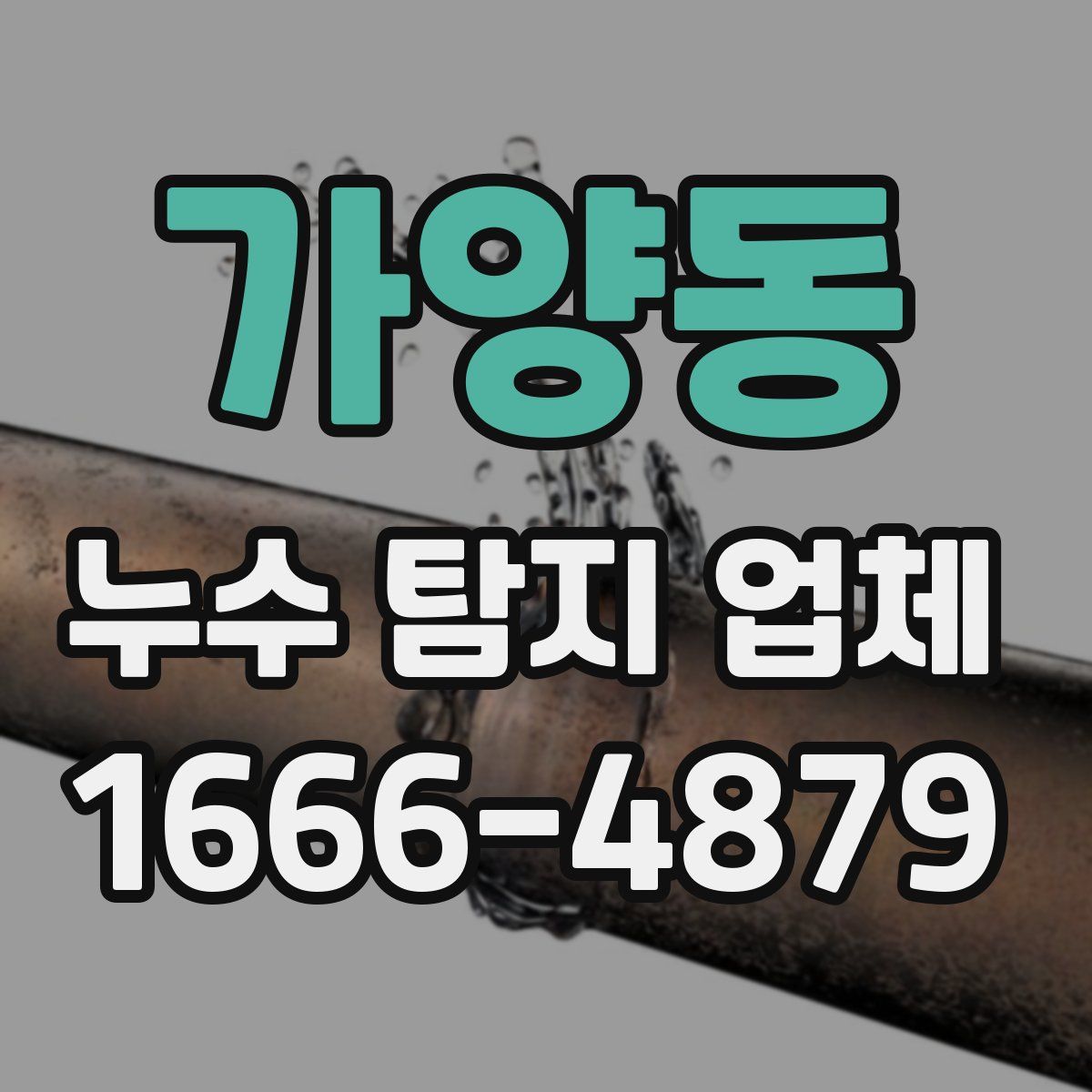 가양동 누수 탐지 업체