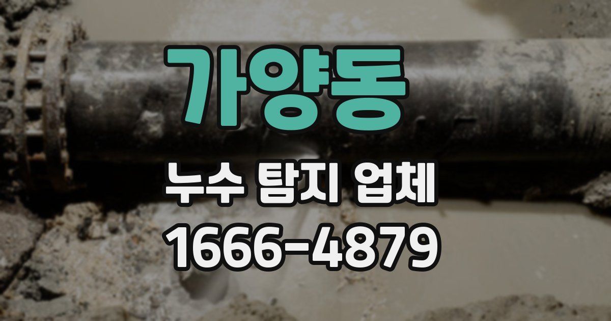 가양동 누수 탐지 업체