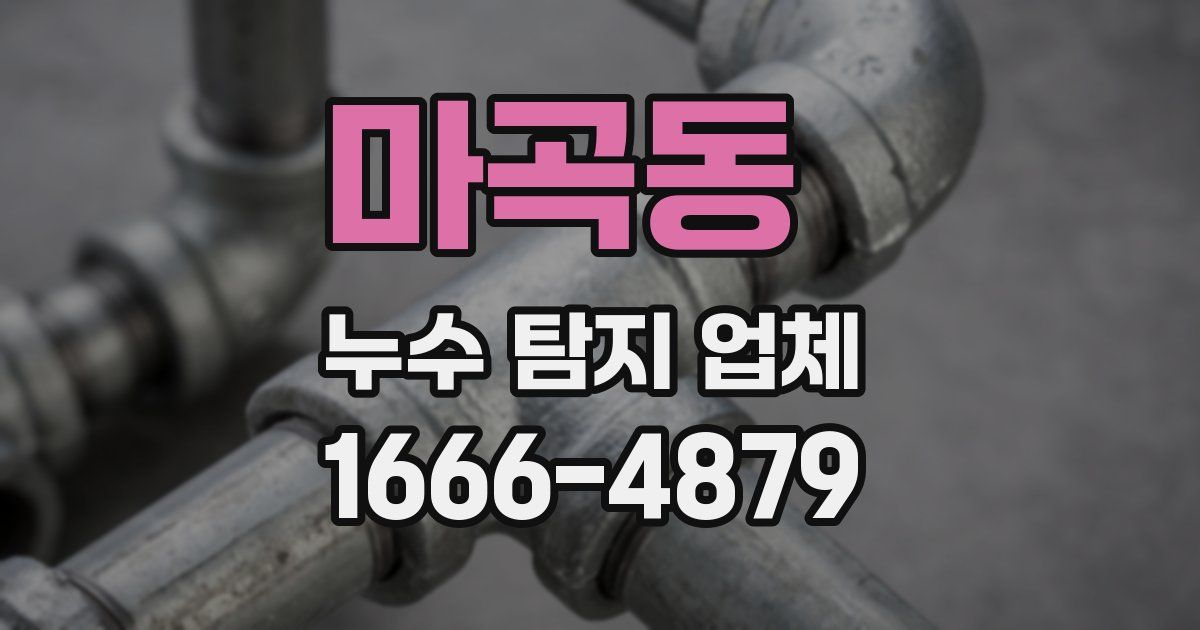 마곡동 누수 탐지 업체