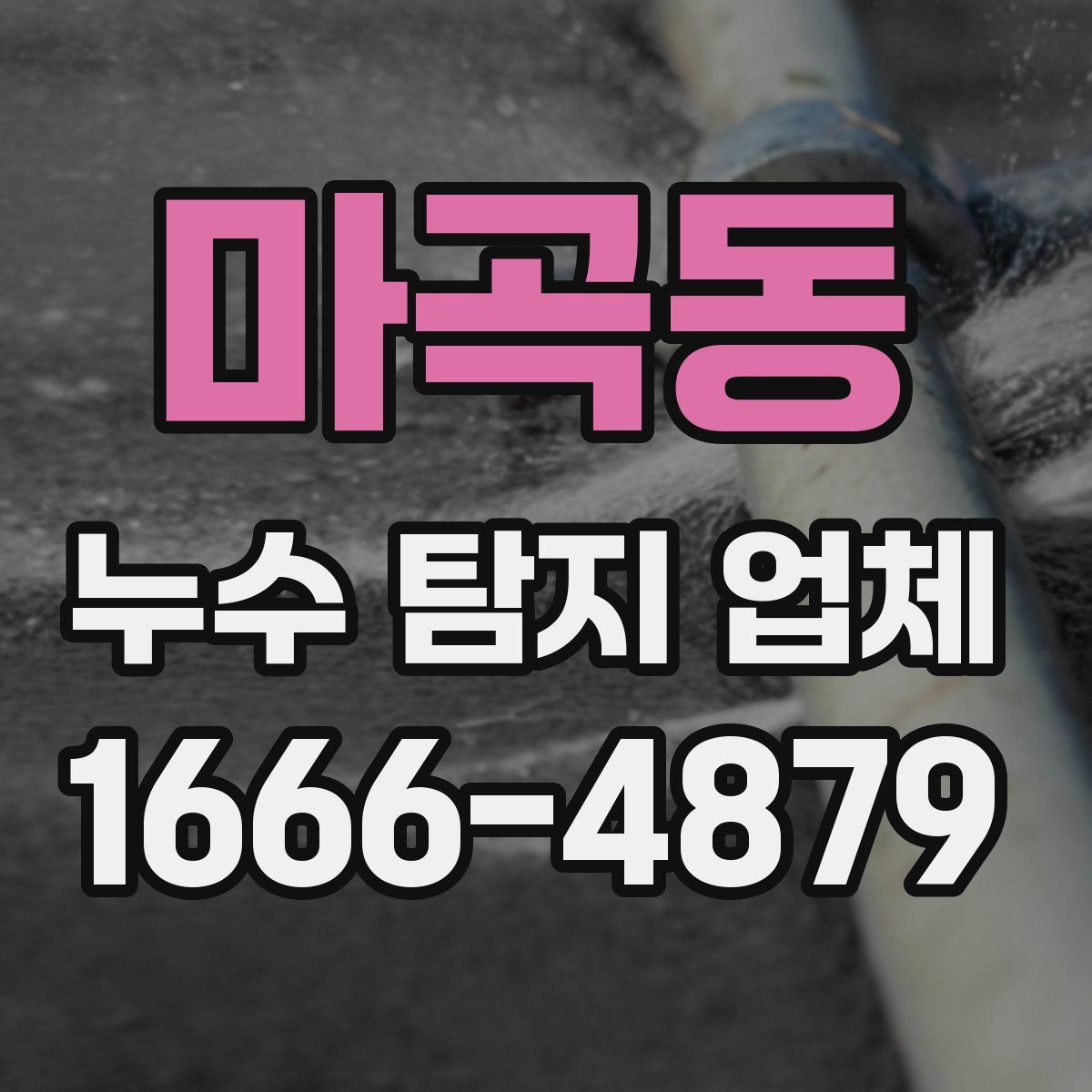 마곡동 누수 탐지 업체