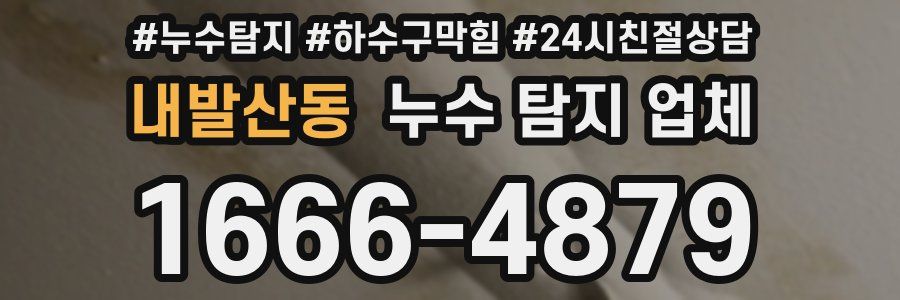 내발산동 누수 탐지 업체