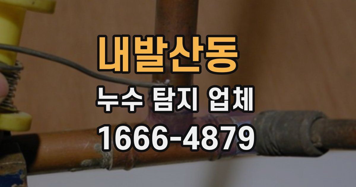 내발산동 누수 탐지 업체