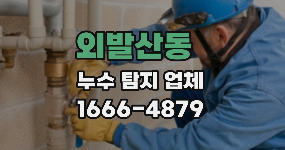 외발산동 누수 탐지 업체