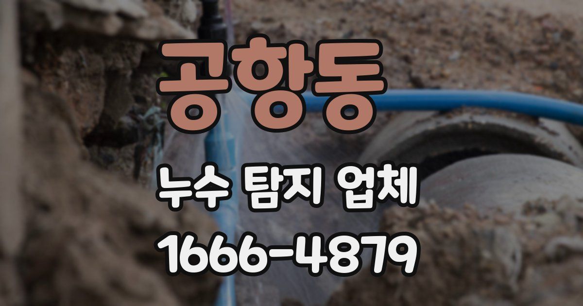 공항동 누수 탐지 업체