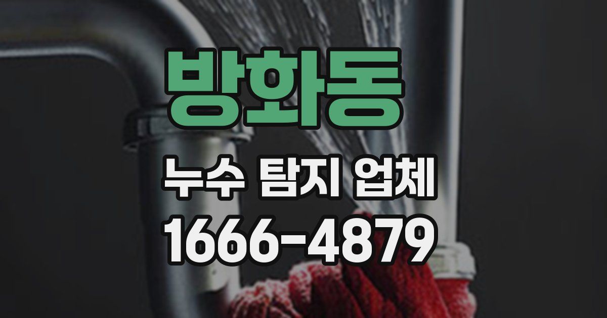 방화동 누수 탐지 업체
