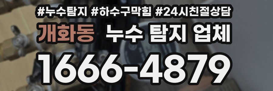 개화동 누수 탐지 업체