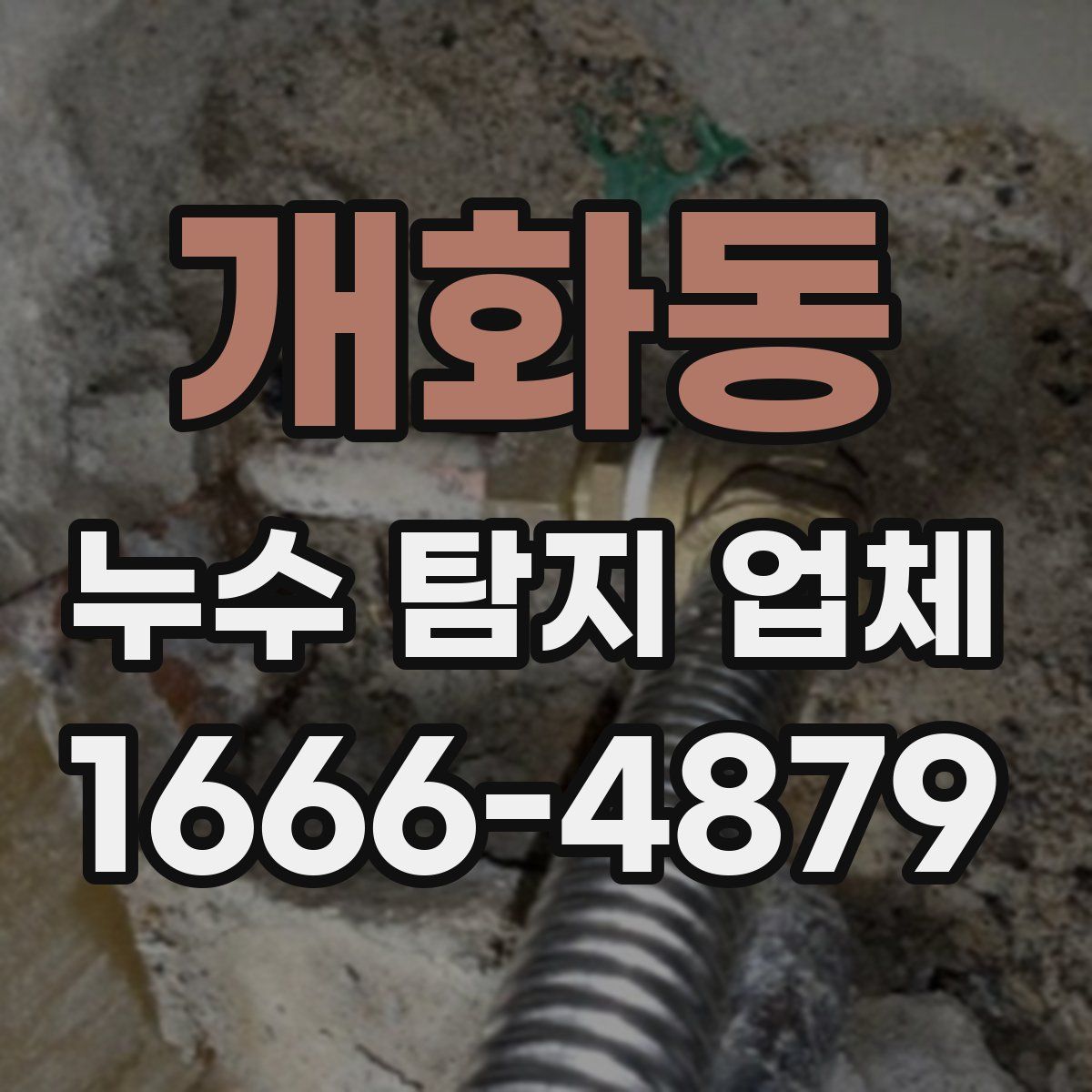 개화동 누수 탐지 업체