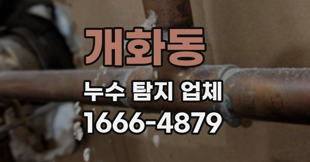 개화동 누수 탐지 업체