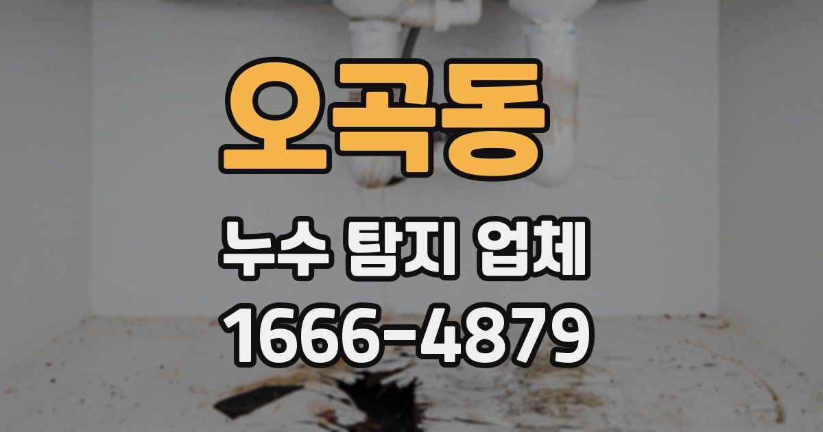 오곡동 누수 탐지 업체
