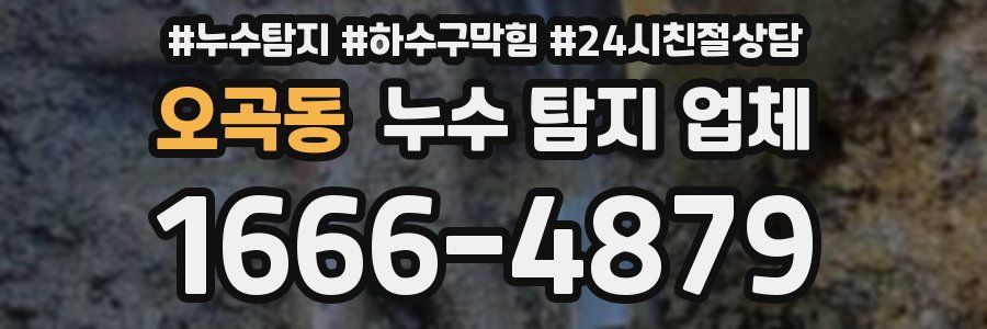 오곡동 누수 탐지 업체