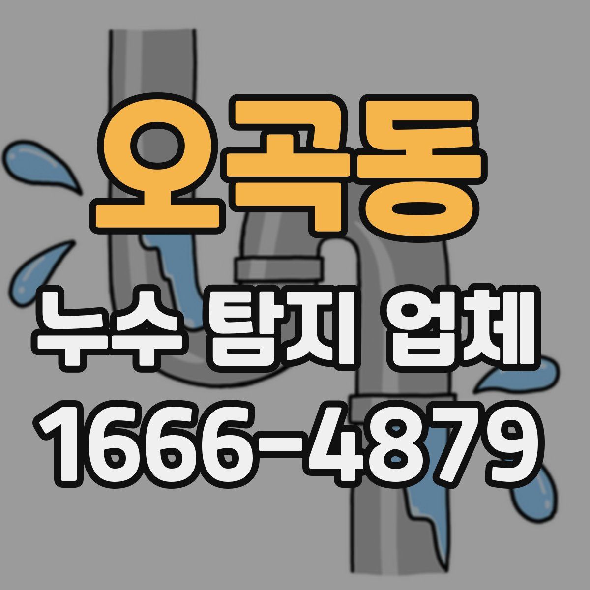 오곡동 누수 탐지 업체