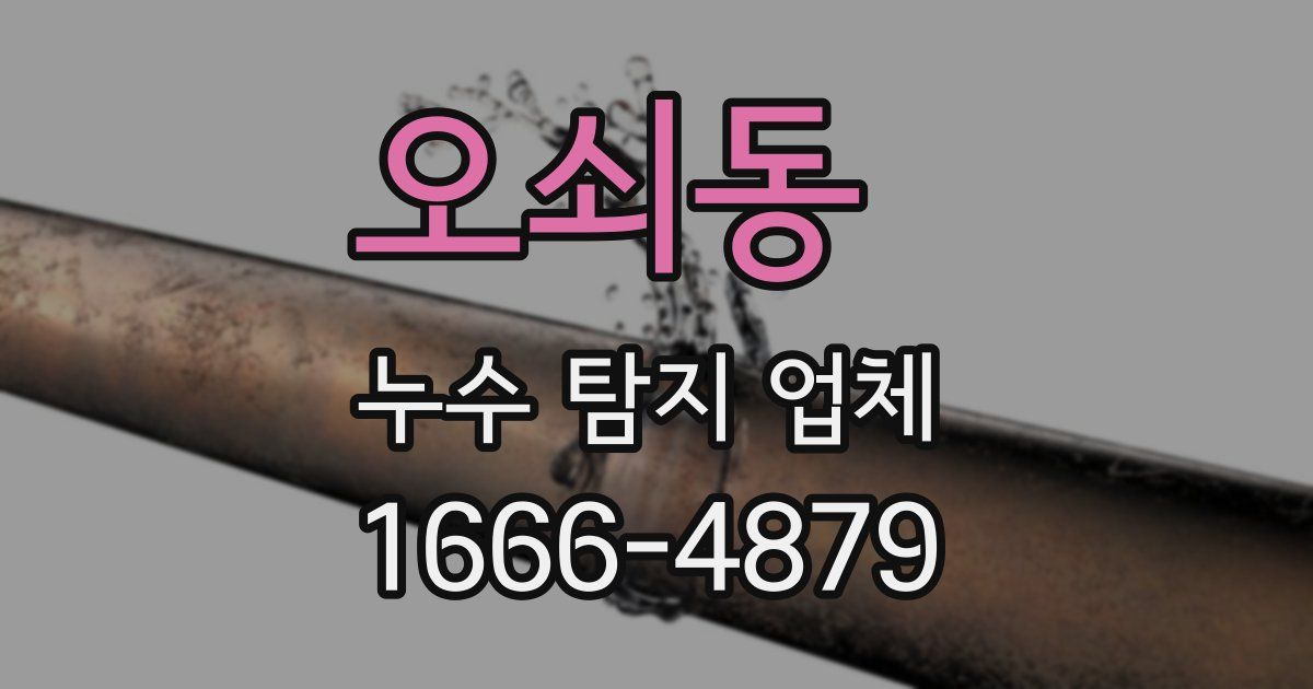 오쇠동 누수 탐지 업체